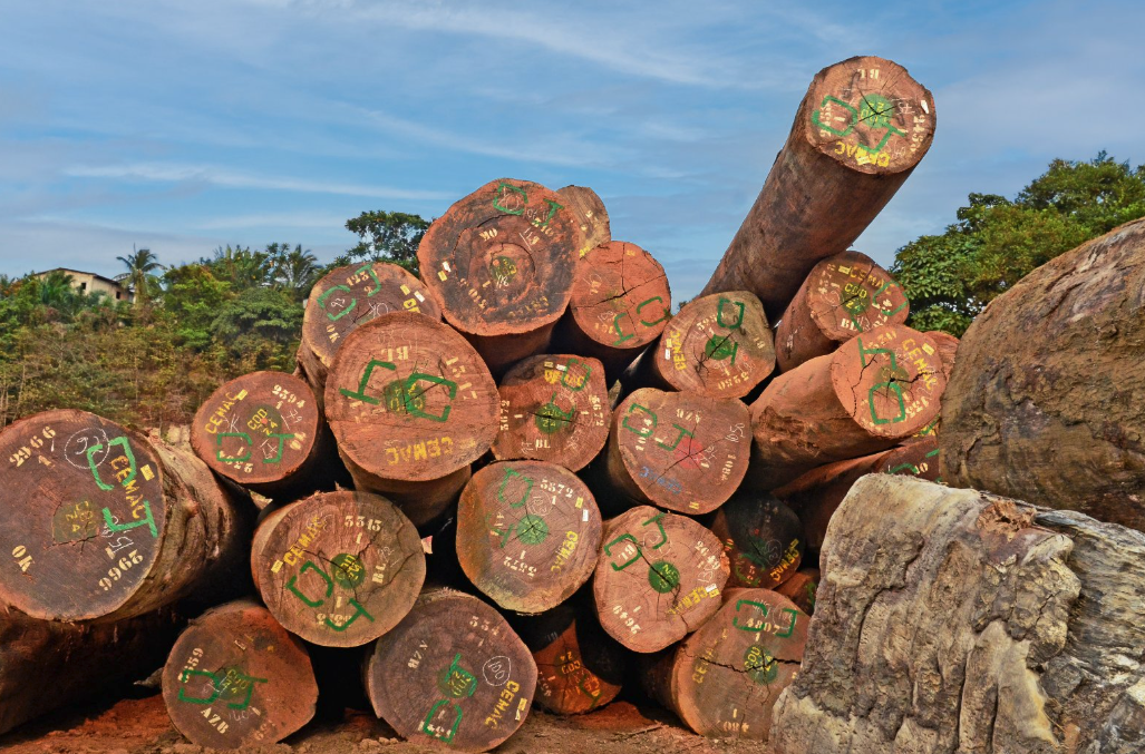 FSC Hardwood Decking Supplier Near Me